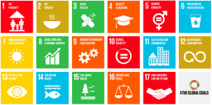 SDG proposed graphic icons