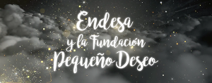 Navidad Empleados Endesa y Pequeno Deseo
