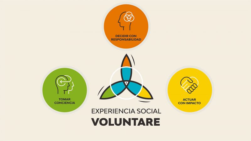 experiencia social voluntare
