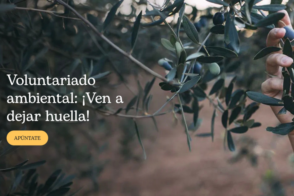 Voluntariado ambiental ayuda en acción