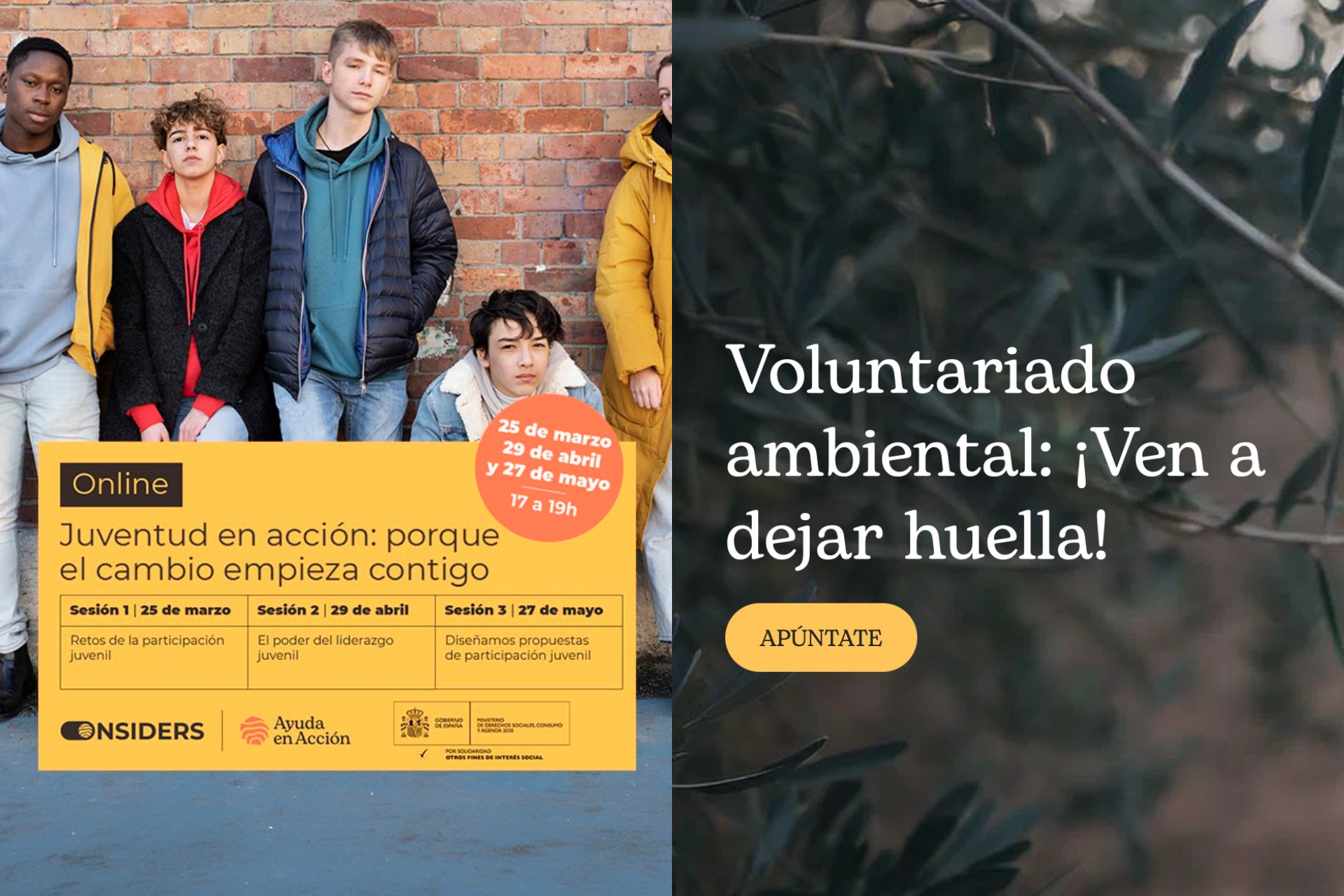 Juventud en acción y voluntariado ambiental